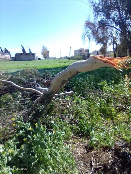 العاصفة تسبب بوفاة طفلين ورجل وإصابة 5 آخرين وأضرار مادية بريف حماة في حصيلة غير نهائية