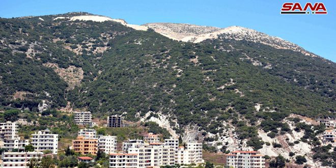 الحرارة أعلى من معدلاتها وتميل للانخفاض غدا

