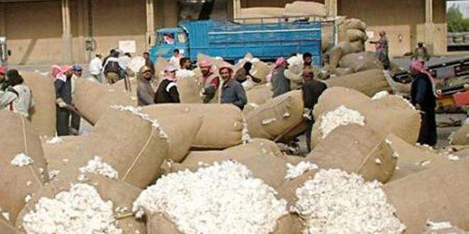 صرف أكثر من 73 مليون ليرة قيم قطن وشوندر في زراعي سلحب
