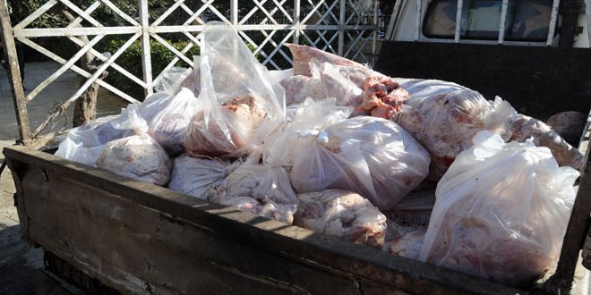 ضبط 1500 كغ من لحوم الفروج الفاسد في منطقة عرطوز بريف دمشق