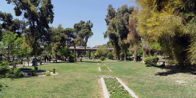 الأرصاد: الحرارة إلى ارتفاع والجو بين الصحو والغائم جزئيا