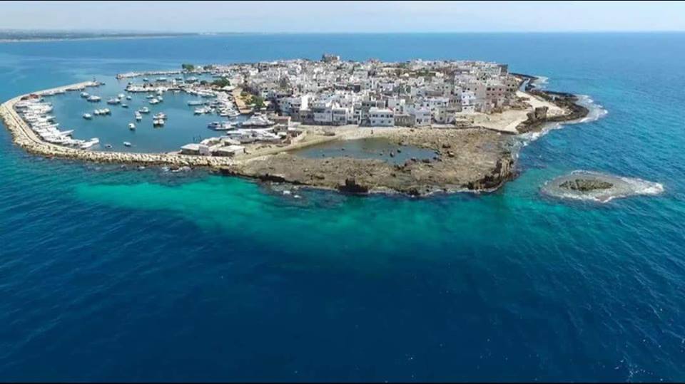  ورشة عمل 