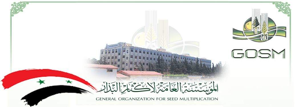 تجهيز مقر فرع إكثار البذار في منطقة البلليرمون وثلاثة مستودعات لتخزين البذار بسعة تخزينية حوالي 10 آلاف طن 