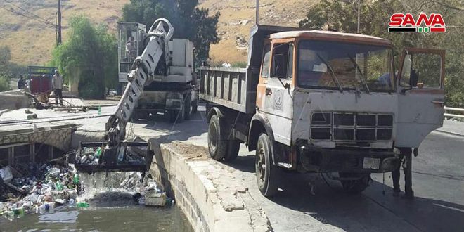 تنظيف مجرى نهر بردى وفروعه في الربوة والمدينة
