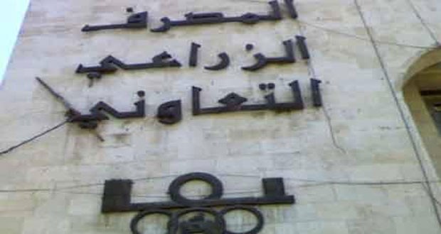 مدير المصرف الزراعي: صرف 3 مليارات ليرة ثمنا لمحصول القطن و 35 مليارا للقمح والشعير
